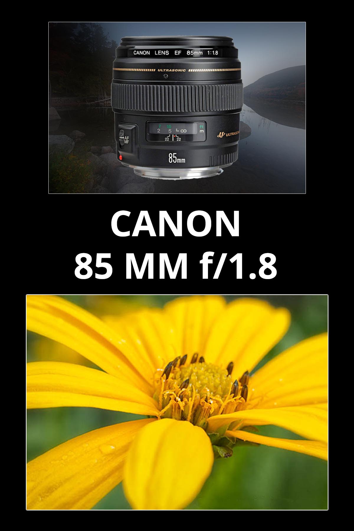 Canon 85mm Lens and sample photo