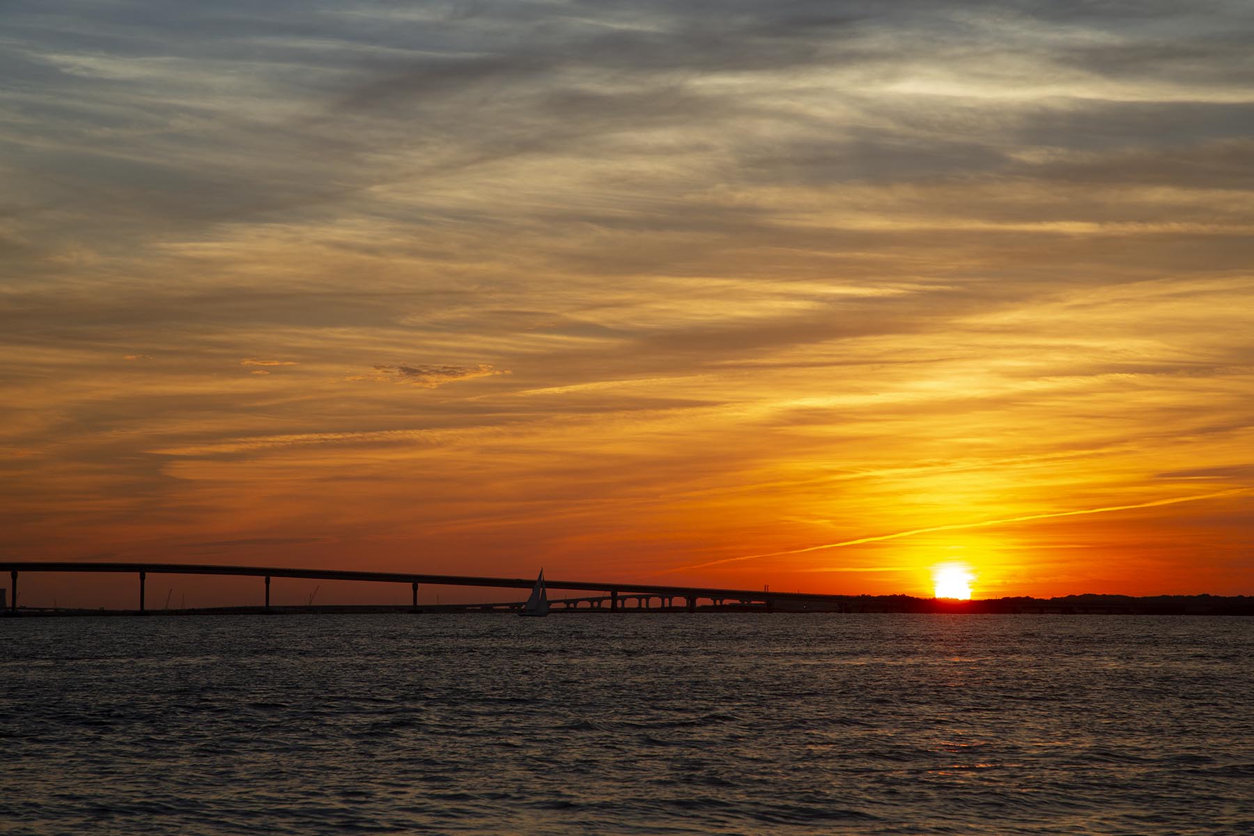 Longport NJ Landscape