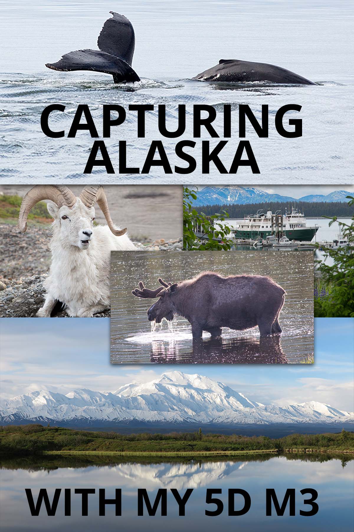 Alaska composite photos