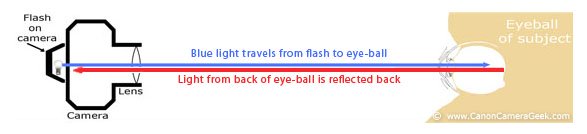 Red-Eye reflection from any on-camera flash, including the 270EX II when it is too close to the lens.