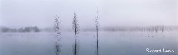 Richard Lewis Photography - New Jersey Pinelands  Panorama