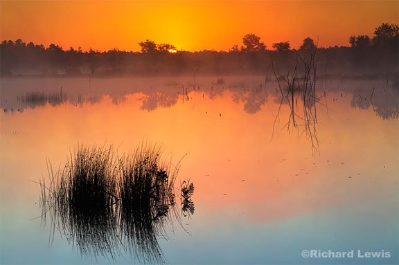 Richard Lewis Photography - New Jersey Pine Barrens